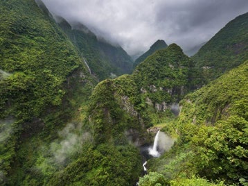 EDF Réunion et la biodiversité : un engagement reconnu