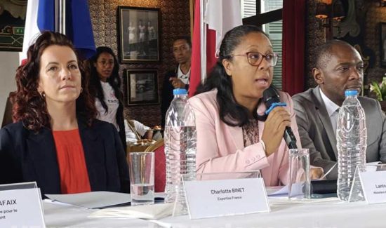 Vingt experts de la diaspora malgache à recruter